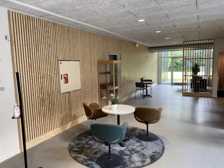 299995148 526140282639923 5636851625060684182 N